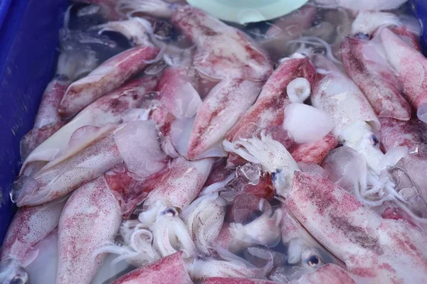 Calamari freschi al cibo di strada — Foto Stock