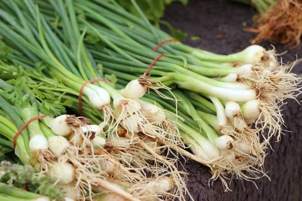 Spring onion at market — Stock Photo, Image