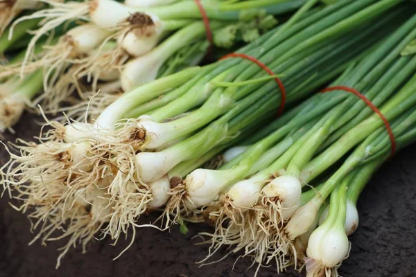 Frühlingszwiebeln auf dem Markt — Stockfoto