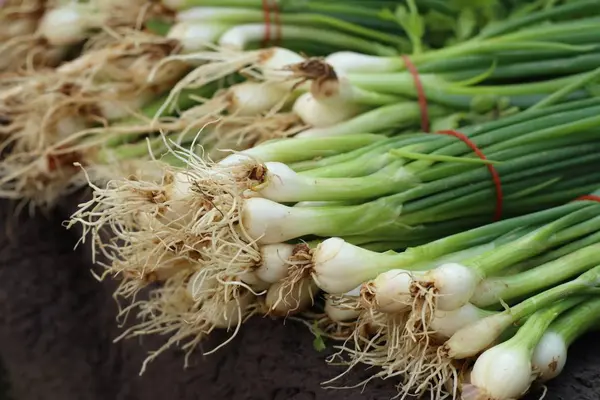 Spring onion at market — Stock Photo, Image