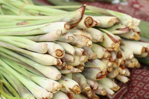 Citronnelle au marché — Photo