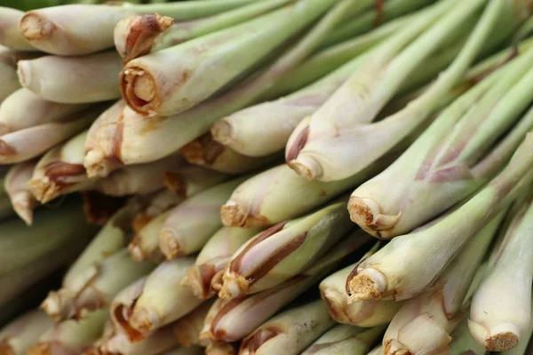 Citronnelle au marché — Photo