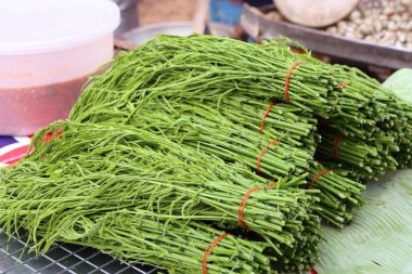 Akasya pennata Market