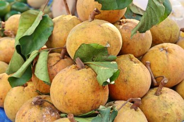 santol meyve Pazar