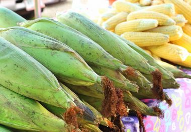 Markette taze Mısır