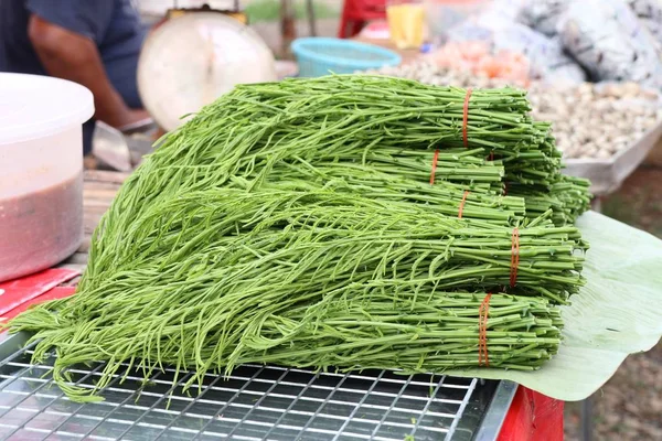 Acacia pennata på marknaden — Stockfoto