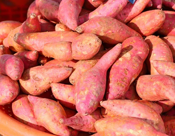 Zoete aardappelen op straat eten — Stockfoto