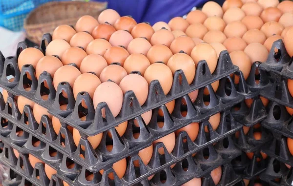 egg at the market