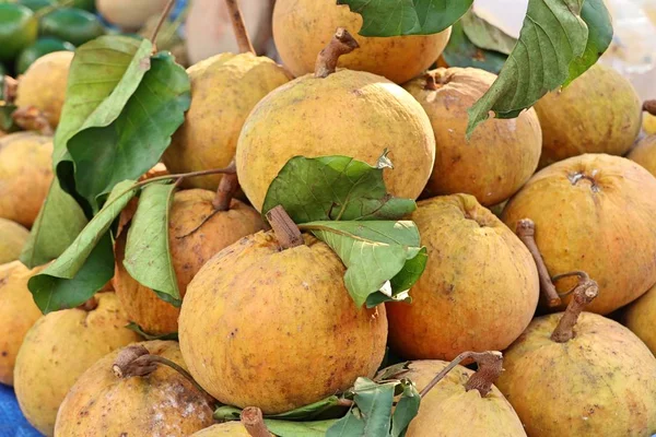 santol meyve Pazar