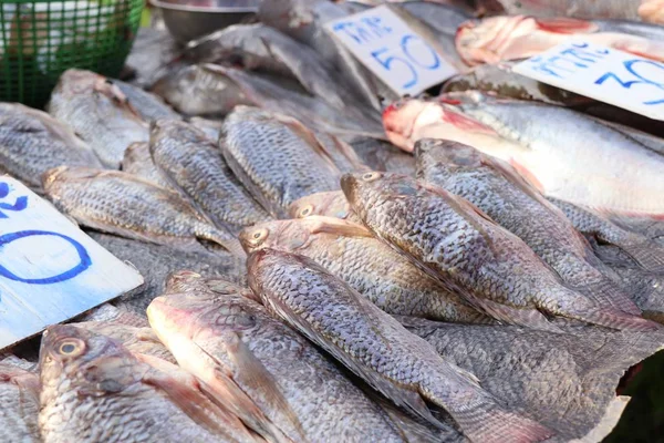 Čerstvé ryby v marke — Stock fotografie