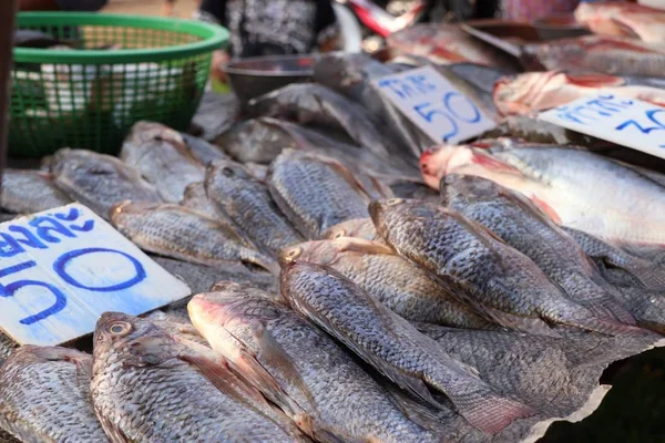 Peixe fresco em Marke — Fotografia de Stock