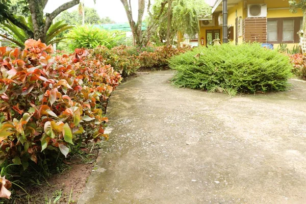 Walkway in the park — Stock Photo, Image