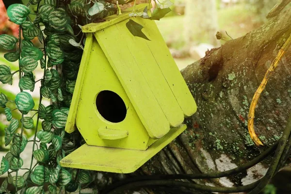 Bird house in nature — Stock Photo, Image