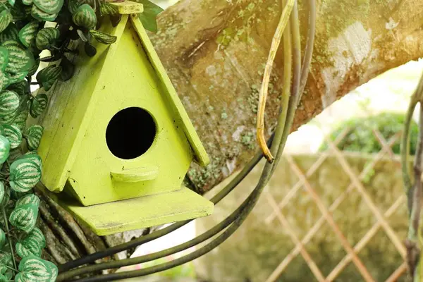 Vogel huis in de natuur — Stockfoto