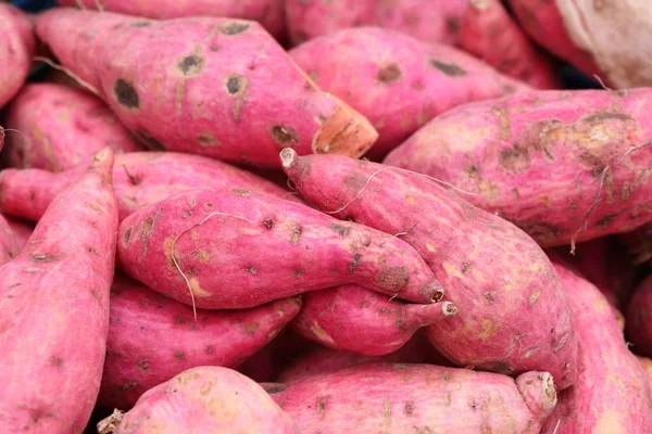 tatlı patates piyasada