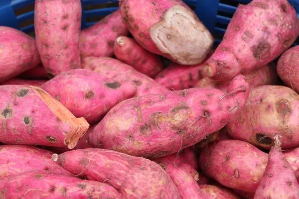 tatlı patates piyasada