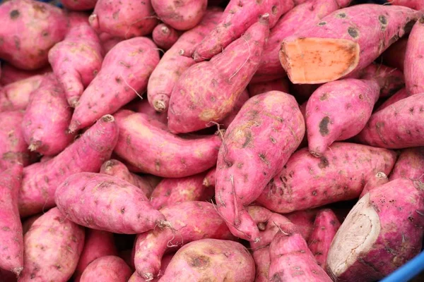 Zoete aardappelen op de markt — Stockfoto