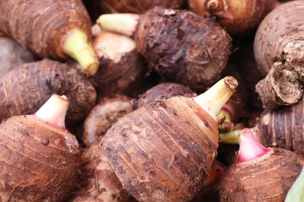 Organický taro na pouliční stánky s jídlem — Stock fotografie