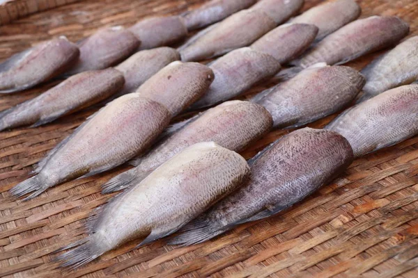 Poissons sur le marché — Photo