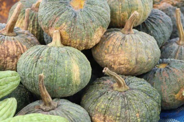 Pumpkin at street food — Stock Photo, Image