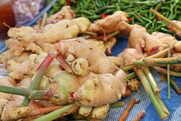 Galangal au marché — Photo