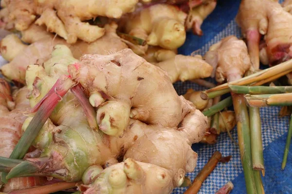 Galangal au marché — Photo