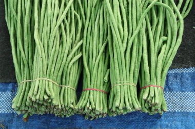 Pazar uzun fasulye