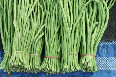 Pazar uzun fasulye