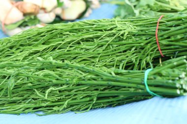 Akasya pennata Market