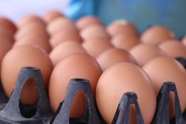 Pazardaki yumurtalar.