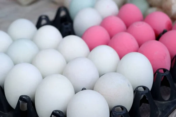 Saltade ägg och konserverade ägg — Stockfoto