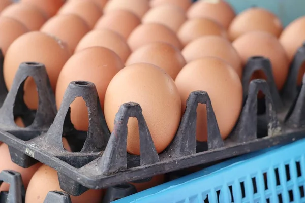 Huevos en el mercado —  Fotos de Stock