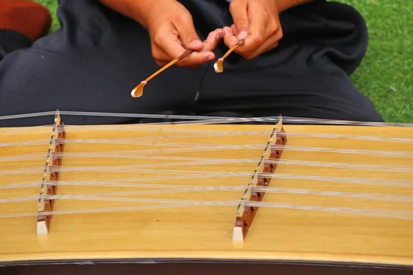 Boy playing the dulcimer — Stock Photo, Image