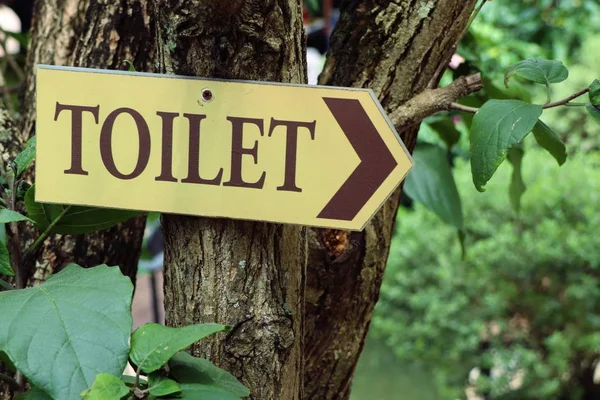 Toilet sign in nature — Stock Photo, Image