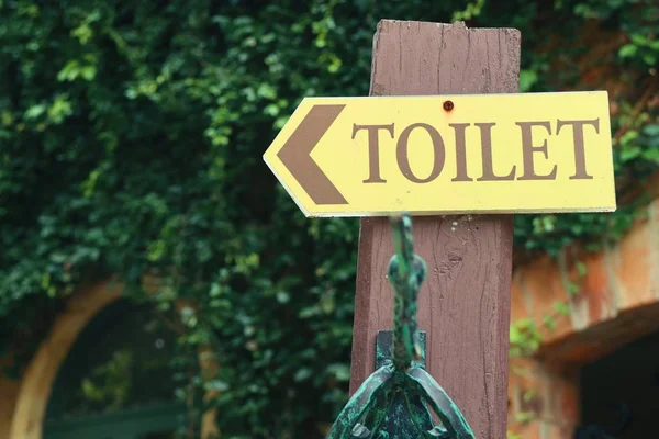 Doğada tuvalet işareti — Stok fotoğraf