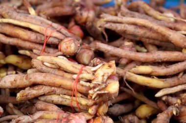 Zencefil kökü Market