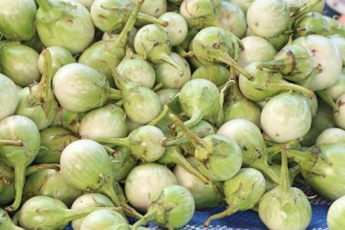 Patlıcan sokak gıda