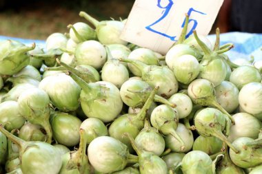 Patlıcan sokak gıda