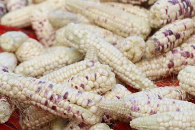 Markette taze Mısır