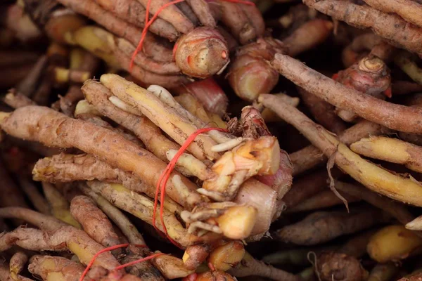 Raiz de gengibre no mercado — Fotografia de Stock