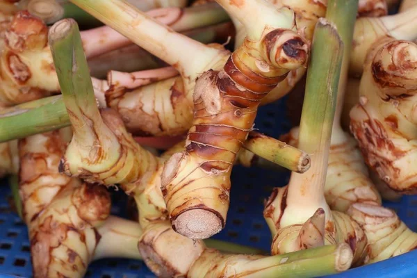 Galangal at the market — Stock Photo, Image