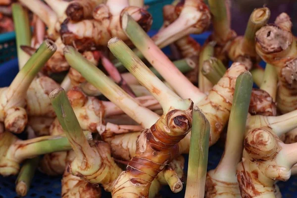 Galangal at the market — Stock Photo, Image