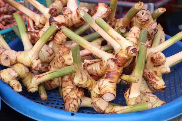 Galangal en el mercado —  Fotos de Stock