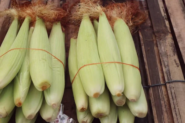 Unga majs på marknaden — Stockfoto