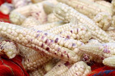 Markette taze Mısır