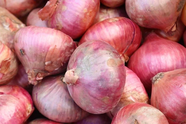 Chalotas no mercado — Fotografia de Stock