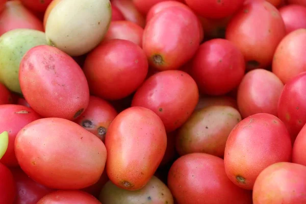 Tomates no mercado — Fotografia de Stock