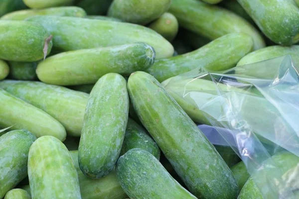 Cucumber at the market — Stock Photo, Image