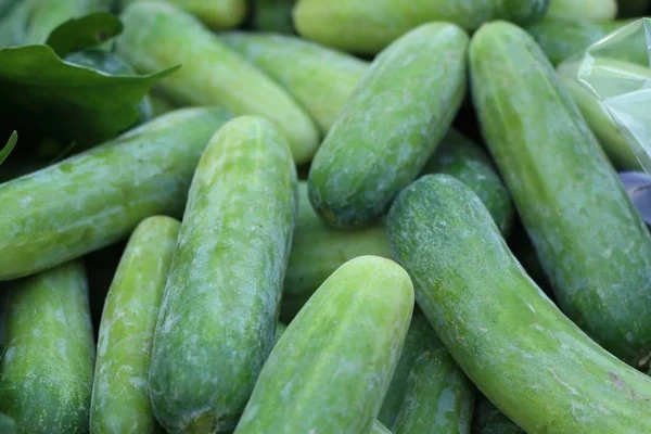 Cucumber at the market — Stock Photo, Image