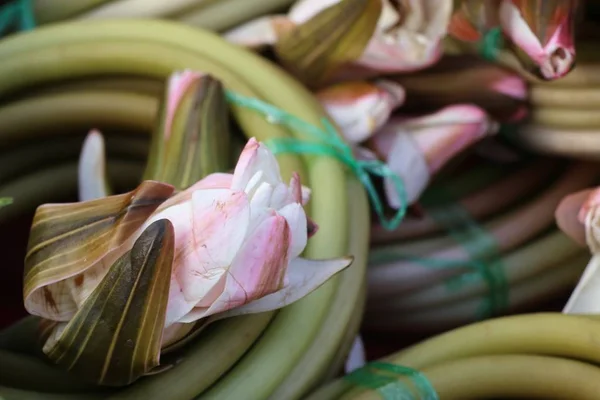 Lotus stjälk på marknaden — Stockfoto